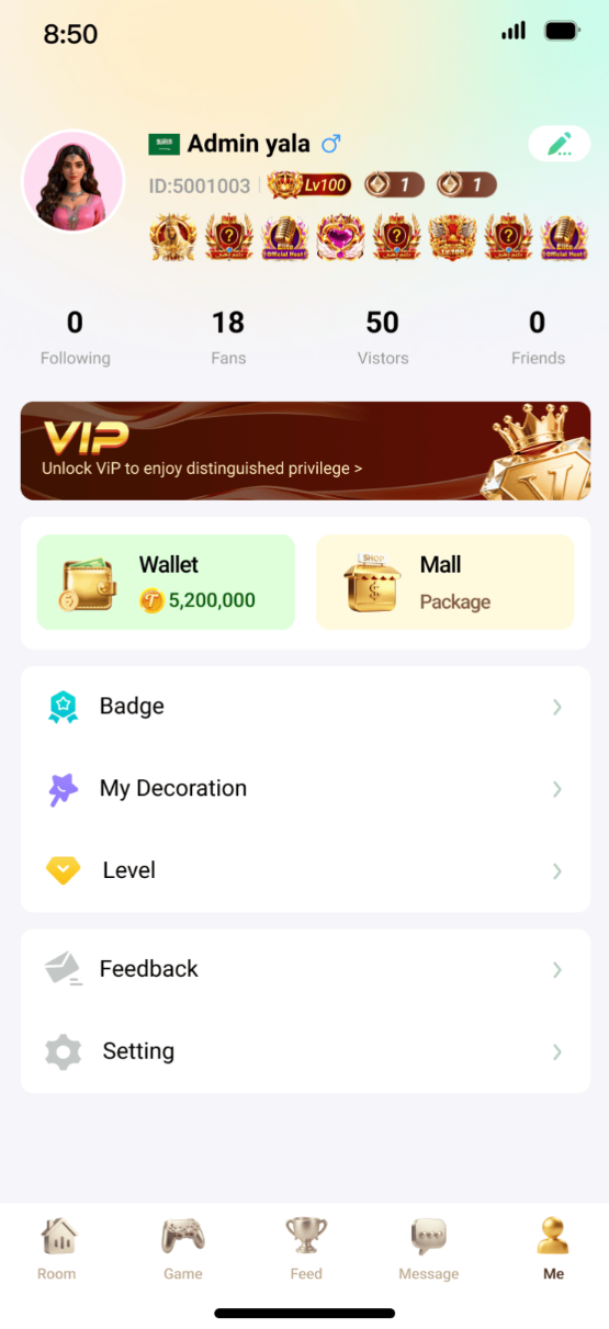 Example of an app user interface